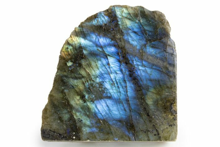 Single Side Polished Labradorite Section - Madagascar #324639